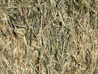 34mt Barley Hay 8x4x3 Bales