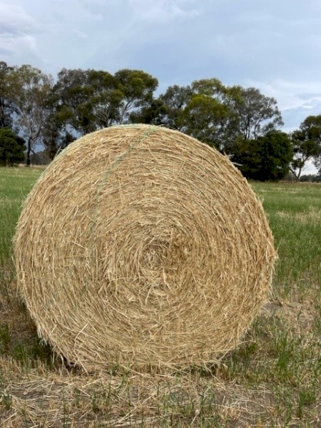 Oaten Hay Round Bales