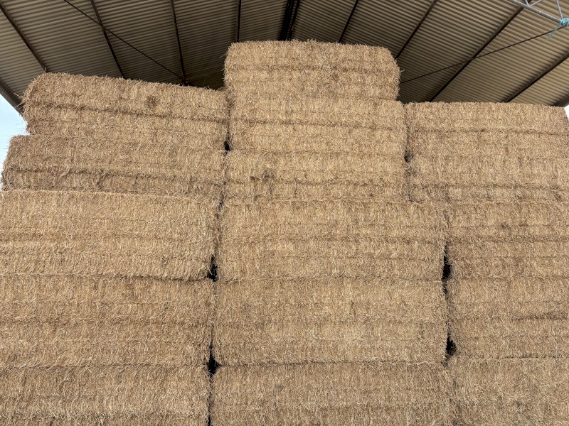 200mt Vetch Hay 8x4x3 Bales