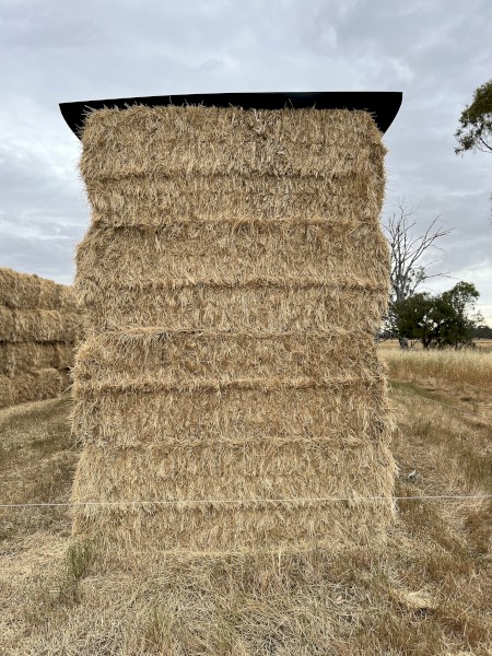 200mt Rye Clover Hay 530kg 8x4x3 Bales