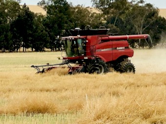 2009 Case IH 7088 Header & 2 Fronts