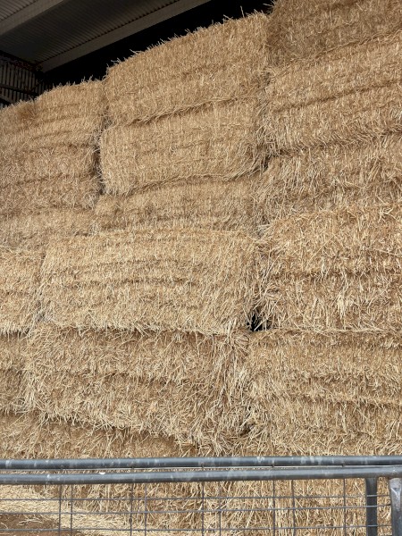 Wheaten Header Tailings 