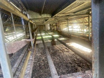 Mobile Chicken Shed