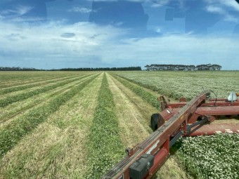 200mt Clover/Oaten Hay 5x4 Round Bales
