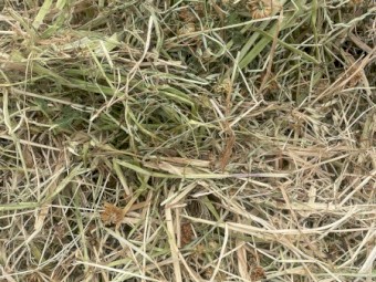 200mt Clover/Oaten Hay 5x4 Round Bales