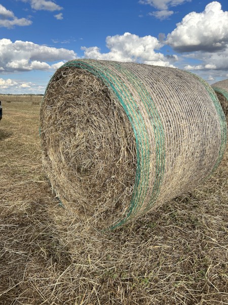 150 x Clover Hay 4x4 Rolls
