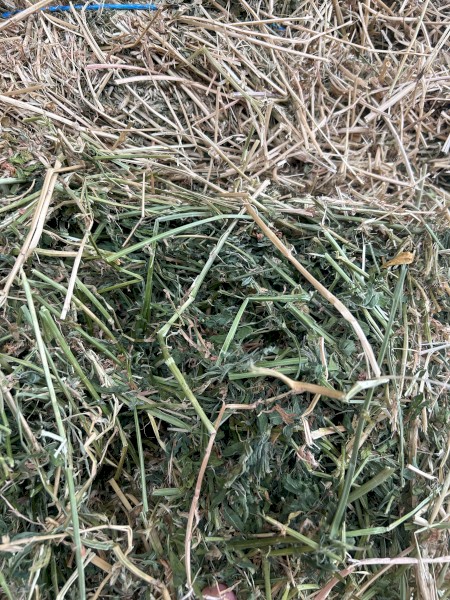 1400 x Lucerne Hay Small Square Bales