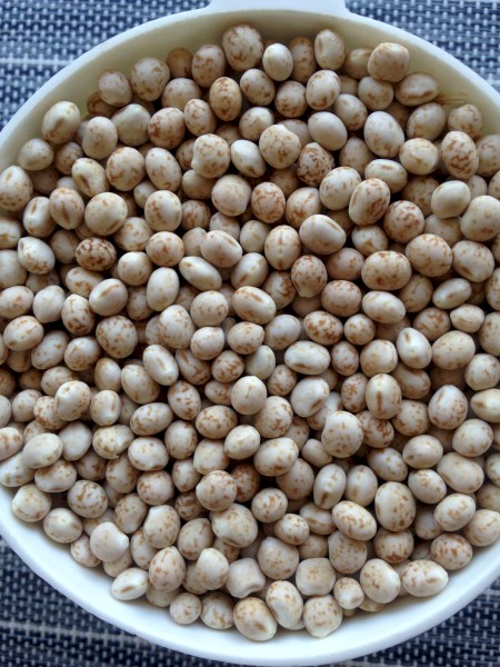 Bateman Lupins