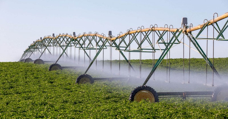 Irrigation license available for lease, Lower Limestone Coast SA, 344 ML