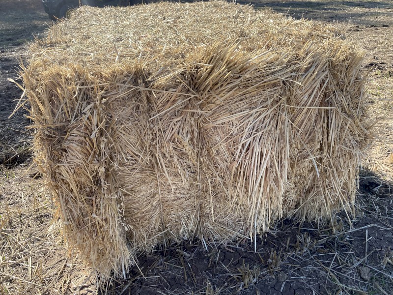 Oaten mix hay large bales