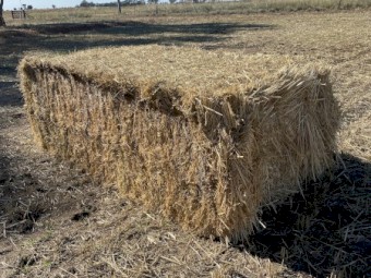 Oaten mix hay large bales