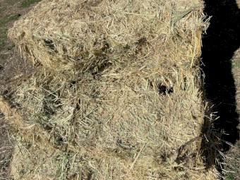 Oaten mix hay large bales