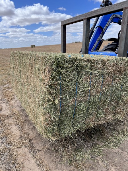 100mt Vetch Hay 650kg 8x4x3 Bales