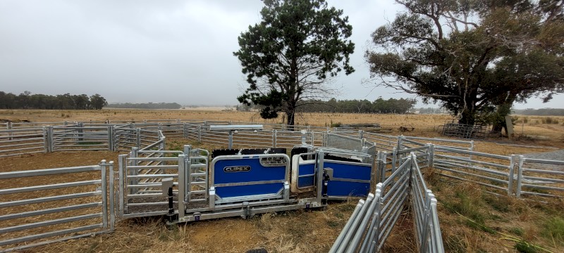 2023 Clipex Sheep Handler