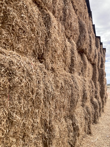 100mt Vetch Hay 8x4x3 Bales