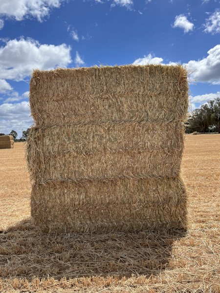 60mt Oaten Hay 650kg 8x4x3 Bales