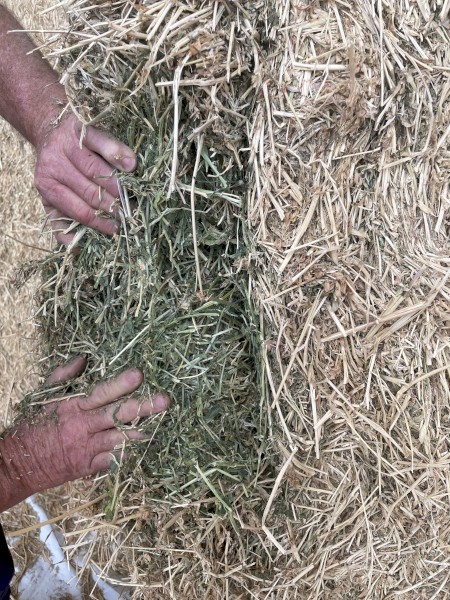 300mt Lucerne Hay 8x4x3 Bales