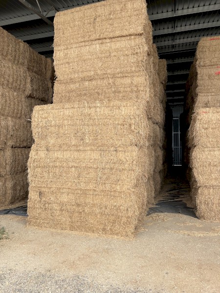 Vetch Hay 550kg 8x4x3 Bales
