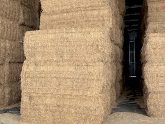 Vetch Hay 550kg 8x4x3 Bales