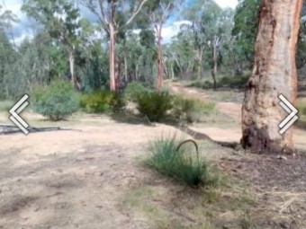 Weekender/ 98.842 ac (40Ha) Farm Land / Torrens Residential Rural (40Ha)