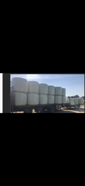 Tropical grass silage 