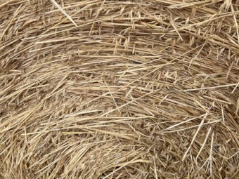 Oaten Hay Rounds
