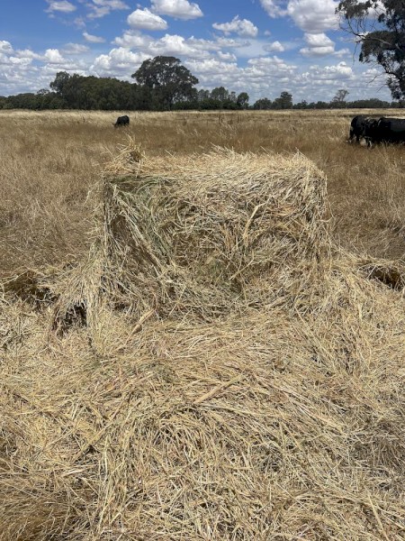 4 x 4 Round Oaten and Rye Mix