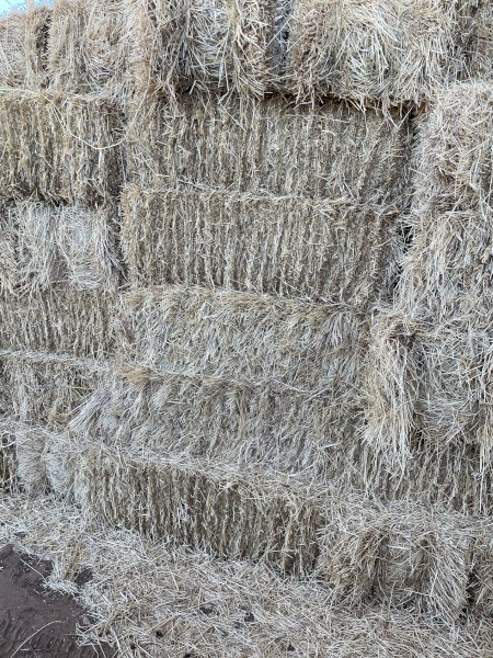 Oaten Rye Small Sqaures