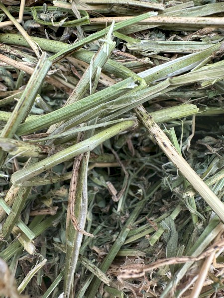 Lucerne Hay 4x4 rounds