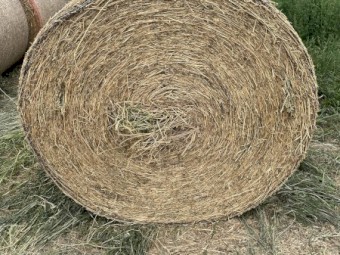 Lucerne Hay 4x4 rounds
