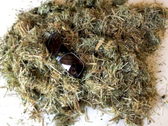 Organic Grass/Vetch Rounds