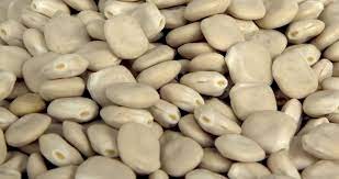 56mt Albus Lupins