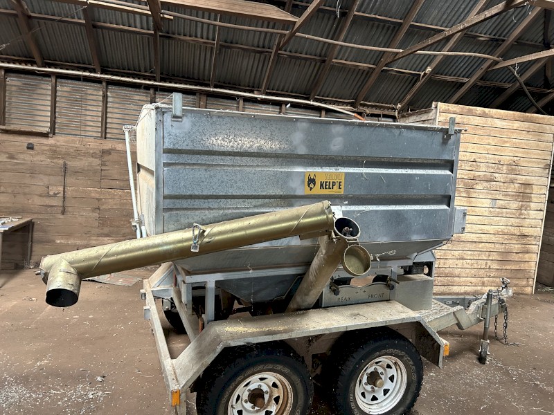 Yellow Kelpie grain feeder/grouper