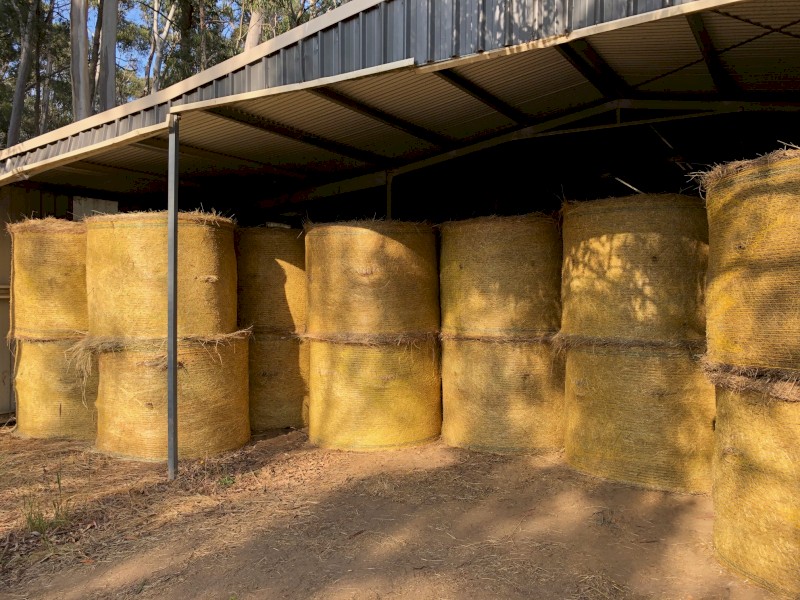 100 x Pasture Hay 5x4 Round Bales