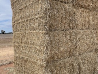 400mt Wheaten Straw 8x4x3 Bales