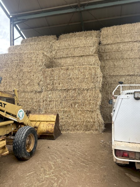78mt Vetch/Rye Hay 580kg 8x4x3 Bales