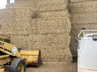 78mt Vetch/Rye Hay 580kg 8x4x3 Bales