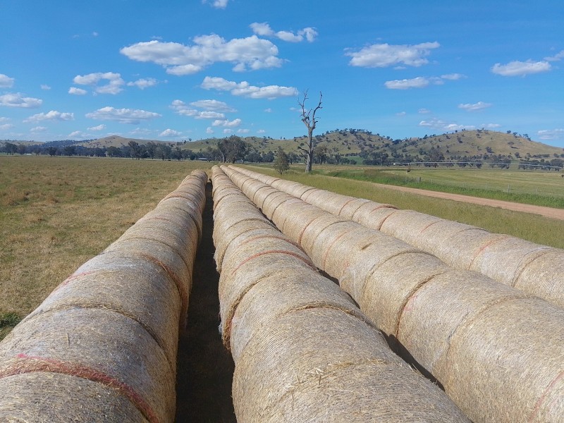 Wheat straw rolls 
