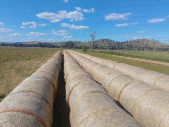 Wheat straw rolls 