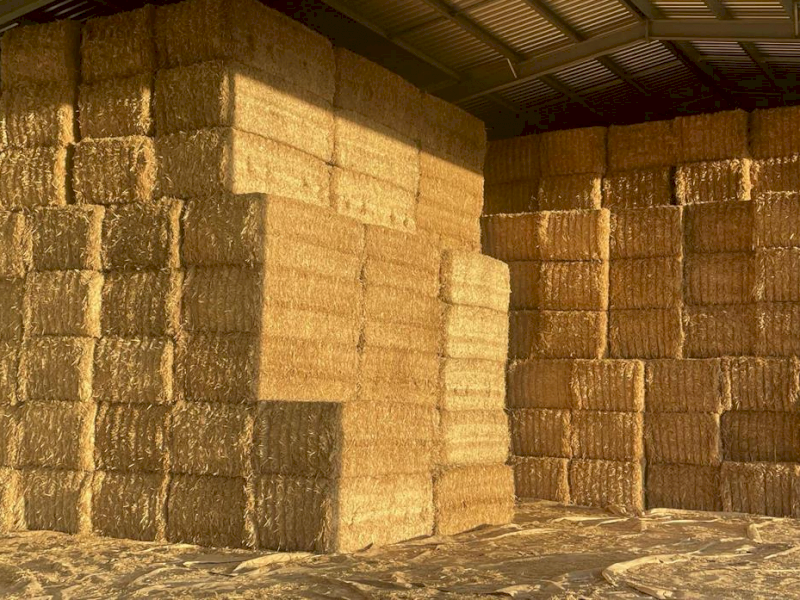Wheat Straw