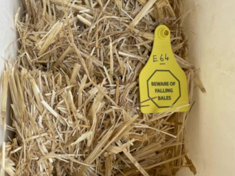 Wheat Straw