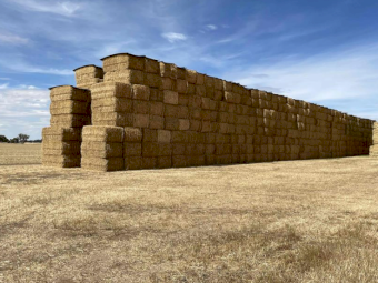 Barley Straw