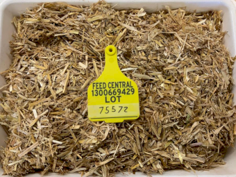 Barley Straw