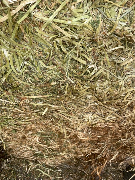 100mt Balansa Clover Hay 8x4x3 Bales