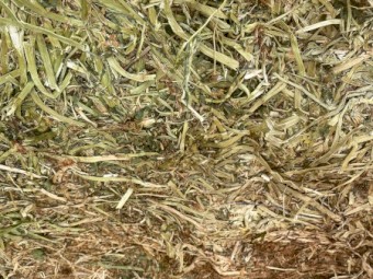 100mt Balansa Clover Hay 8x4x3 Bales