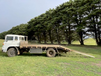 Bedford Truck