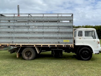 Bedford Truck