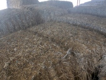 Oaten Hay 8x4x3 Bales 