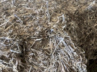 Oaten Hay 8x4x3 Bales 