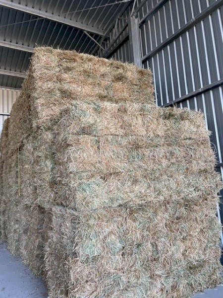 New Seasons Oaten Hay